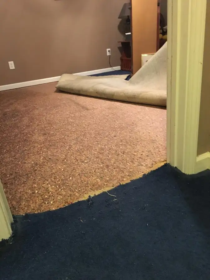 Carpet pad removal revealing water damage during Water Mitigation Services in Granite City