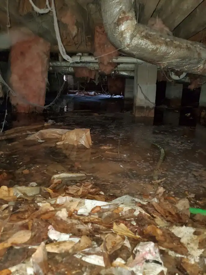 Crawl space flood assessment for Commercial Water Damage Restoration in Granite City