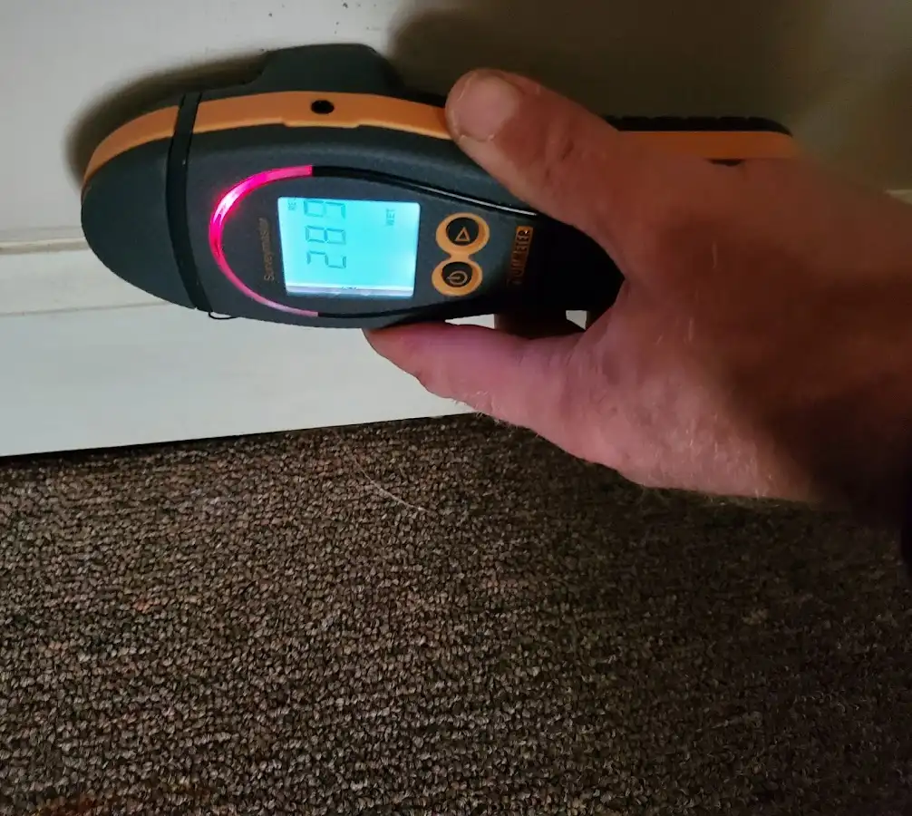 Moisture detection at baseboard during Sewage Cleanup & Sanitation in Granite City